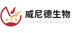 开云网页版登录入口